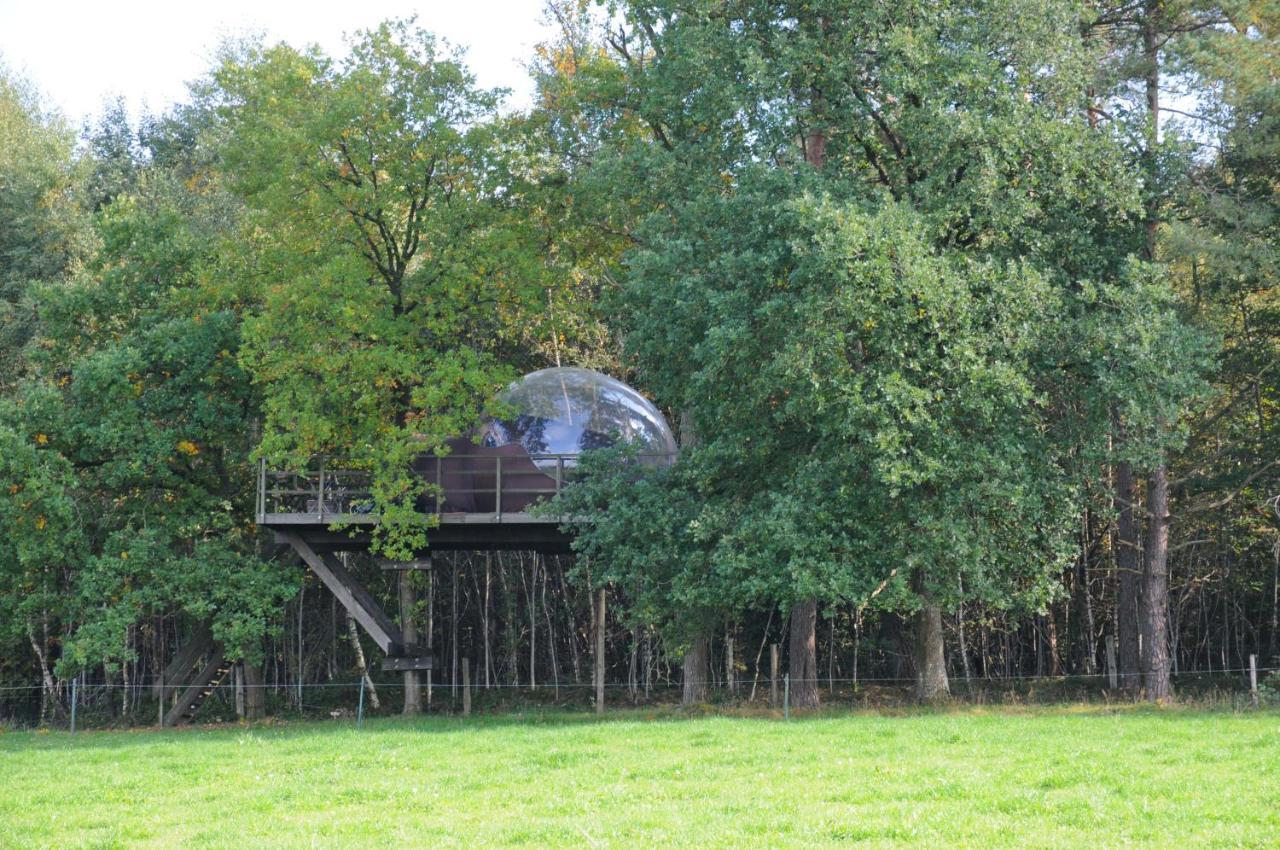 Sphair Perchee Hotel Fisenne Exterior foto